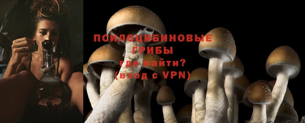 мяу мяу мука Волоколамск