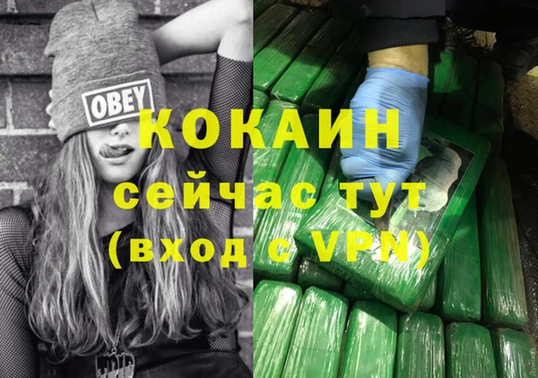 сатива Няндома