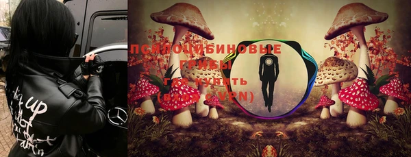 мяу мяу мука Волоколамск