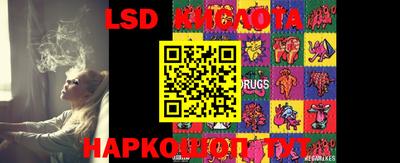 прущие крисы Новозыбков