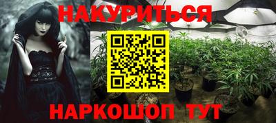 трава Новодвинск