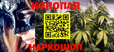 трава Новодвинск
