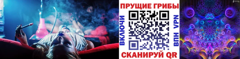 Галлюциногенные грибы мухоморы  гидра как войти  Сургут  где продают наркотики 