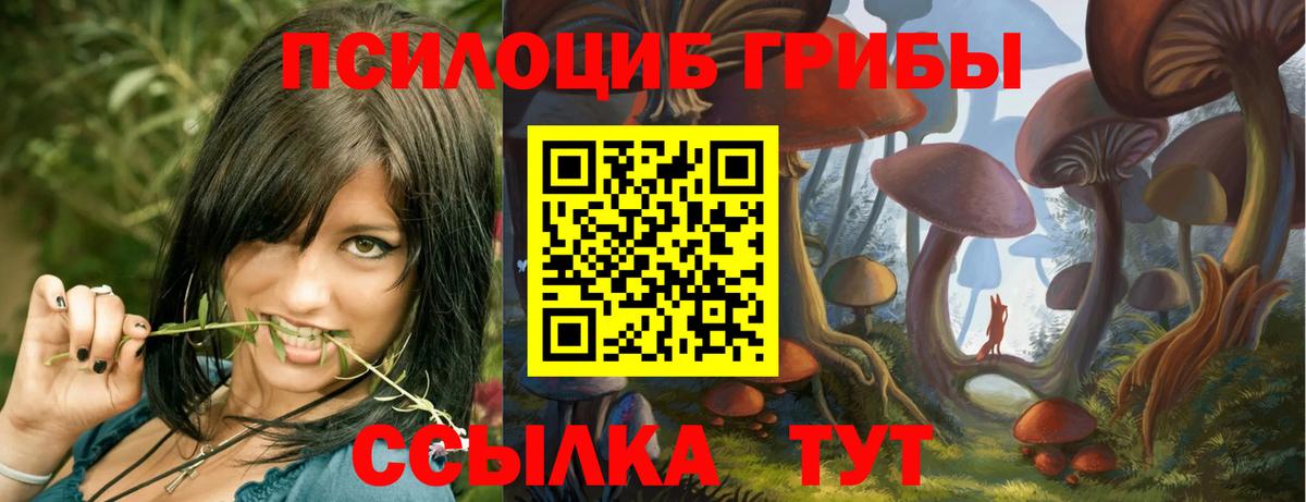 Сургут  Галлюциногенные грибы прущие грибы  Псилоцибиновые грибы мицелий  Вход с VPN 